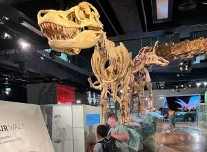 Disability School Holiday Program Melbourne Museum
